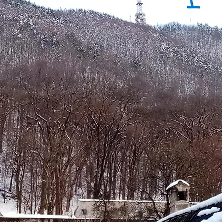 Old Town Apartment Brasov